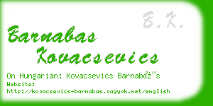 barnabas kovacsevics business card